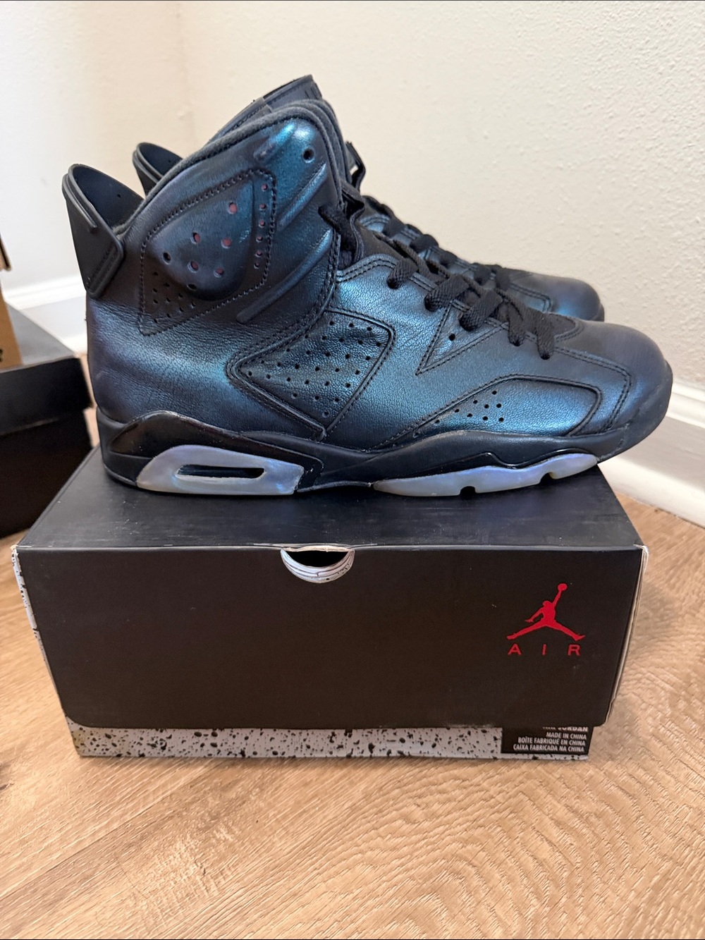 Air Jordan 6 vi all star chameleon size 8.5